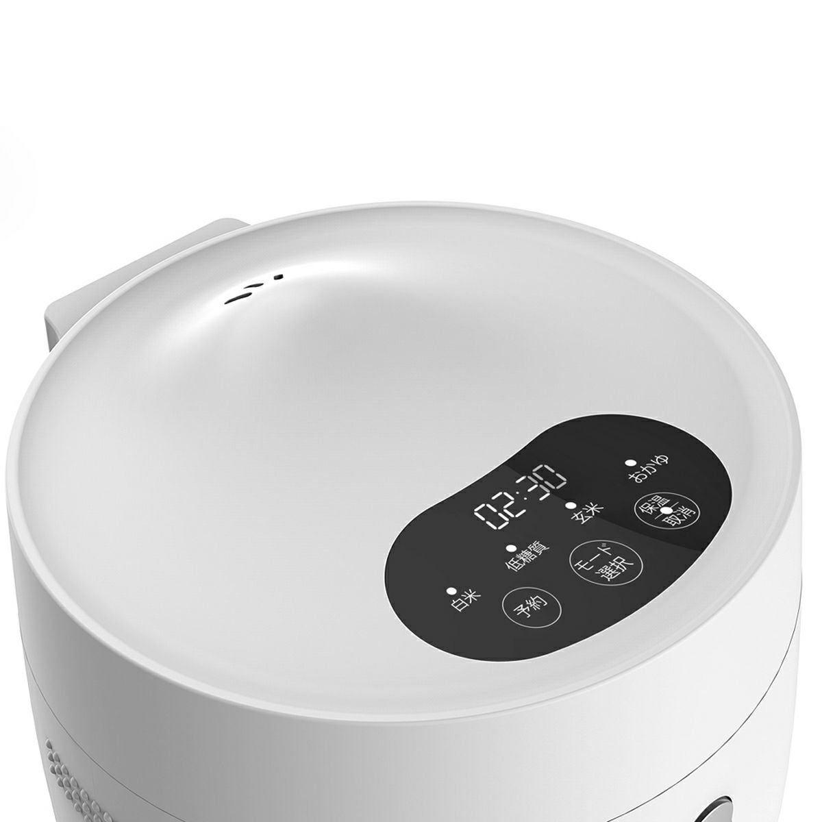 AINXアイネクス スマートライスクッカー 糖質カット炊飯器ホワイト