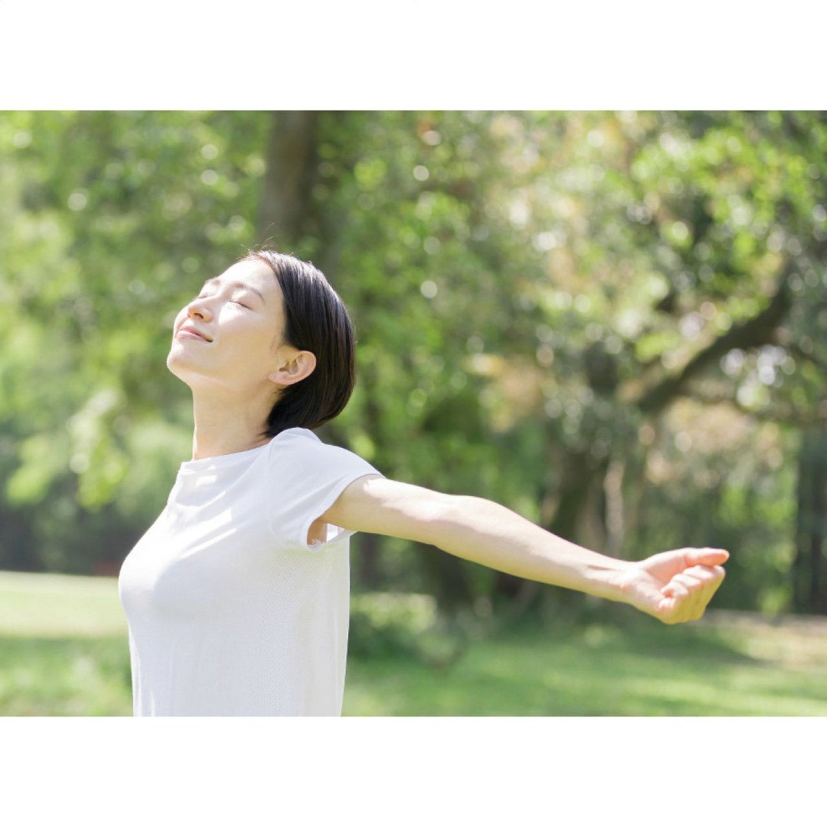 健康おもいやりギフトKKO-BOの説明画像3