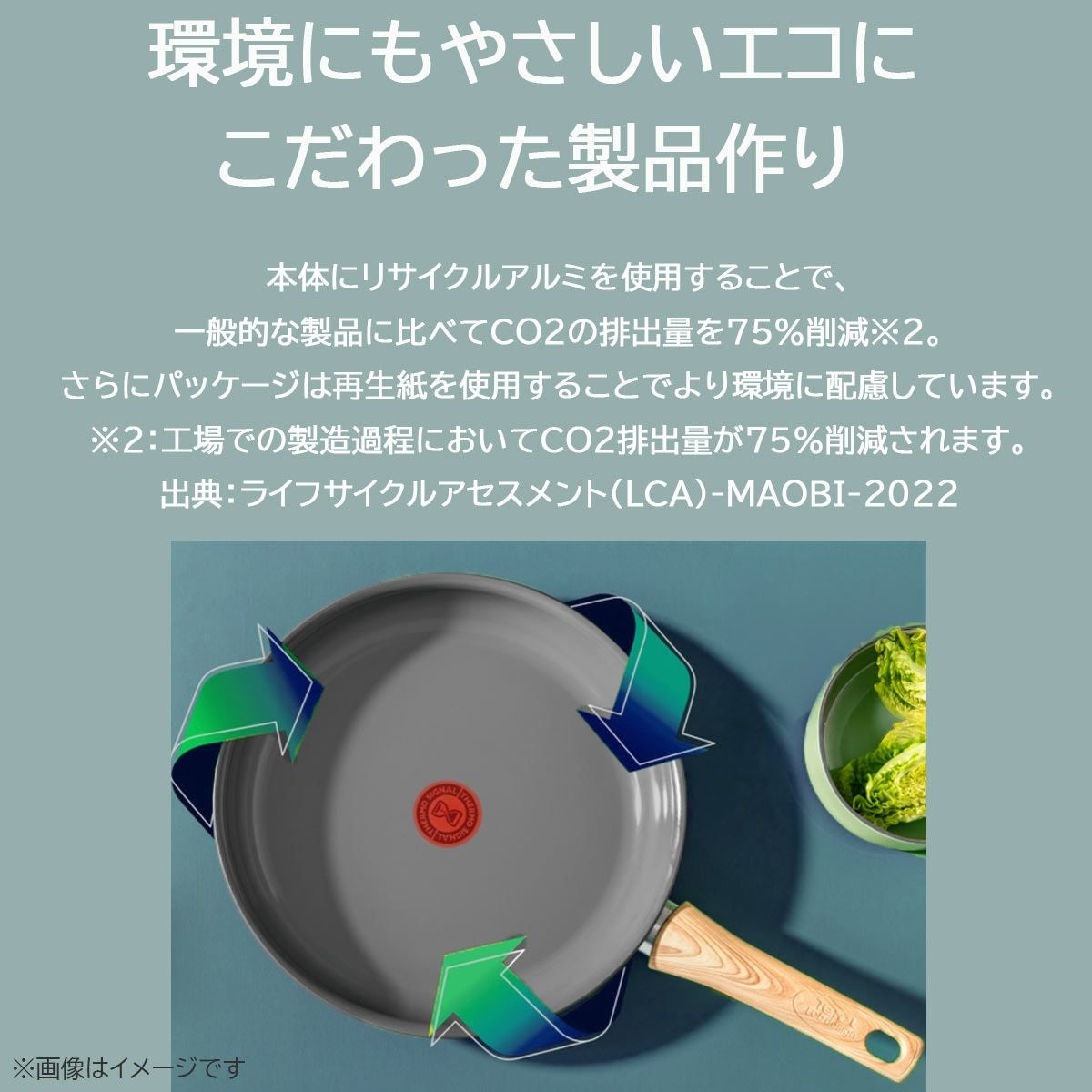 フライライン　ソルトフライ　ソナータイタン　WF-11-F/l 未使用 Amazon.co.jp: サイエンティフィックアングラーズ ソナータイタン GT