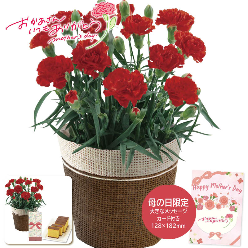母の日ギフト アーティフィシャル紫陽花調理器具専門ソルヴィータ